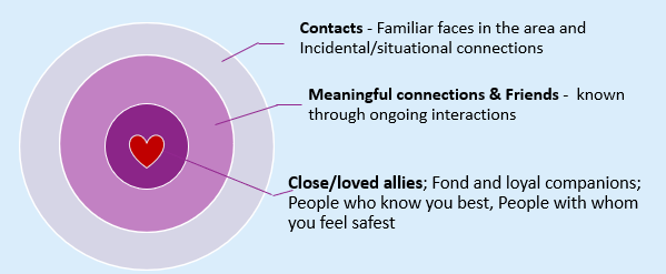 Image listing connection types: Contacts, Friends, Allies. All explained below